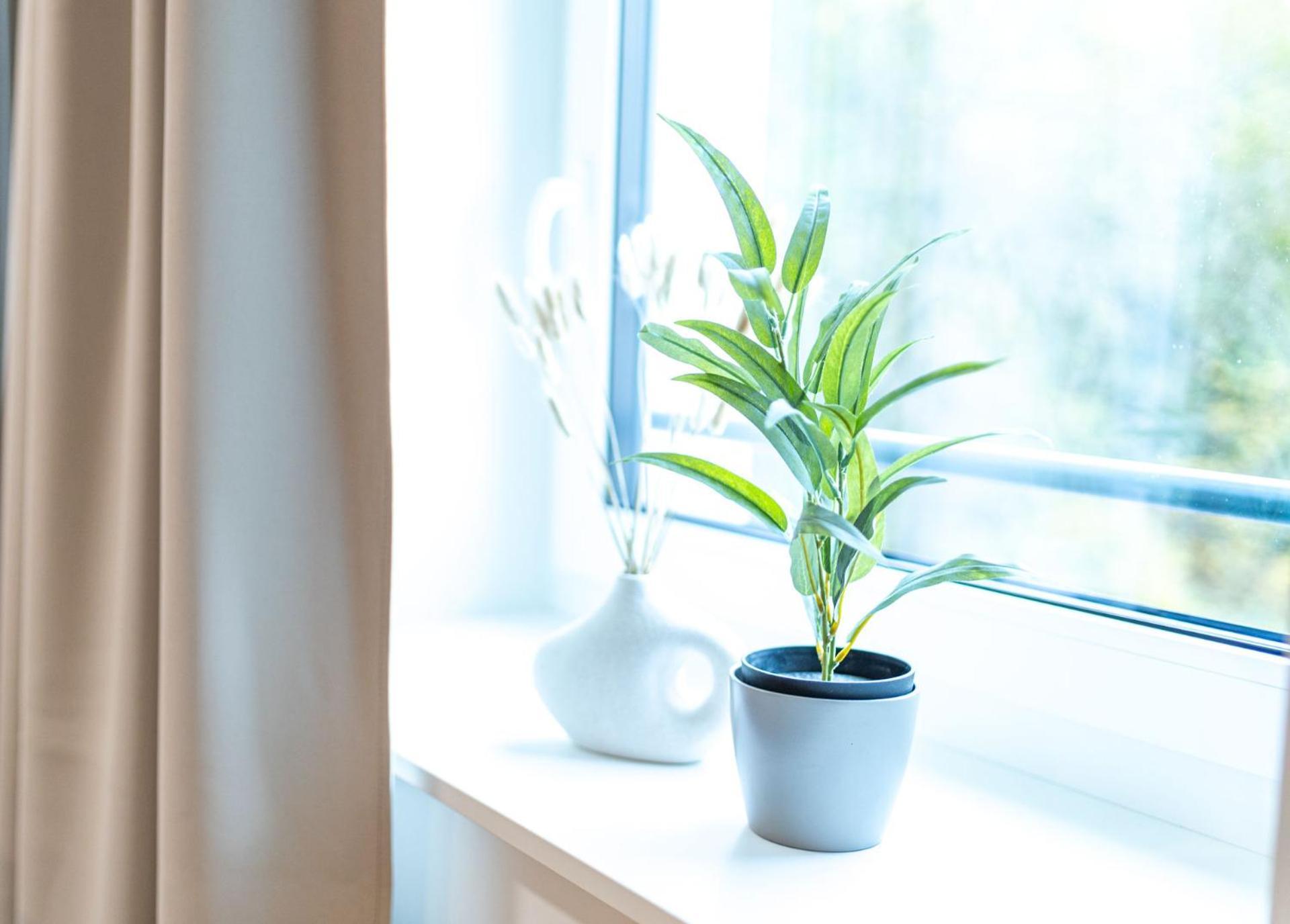 Dwellstay - City Apartments Fulda Habitación foto